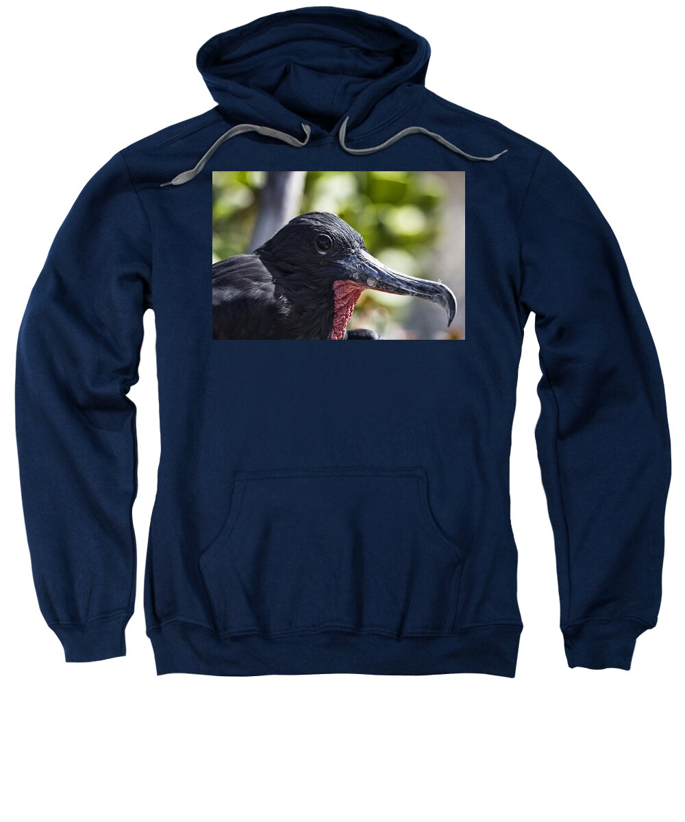 Frigate Bird Sweatshirt featuring the photograph Frigate Bird- Hawaii by Douglas Barnard