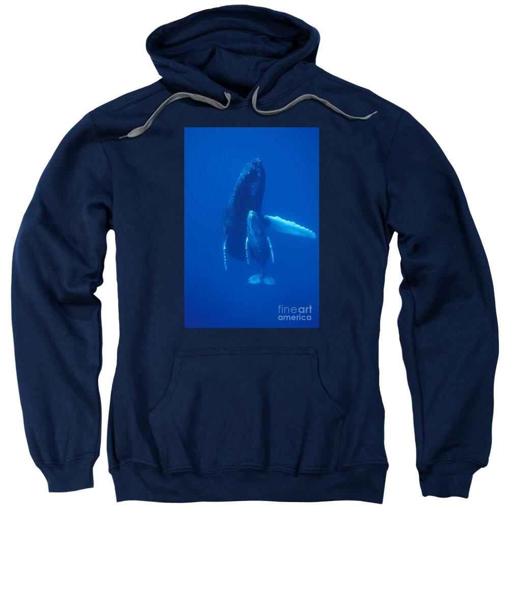 Feb0514 Sweatshirt featuring the photograph Humpback Whale And Calf Maui Hawaii by Flip Nicklin
