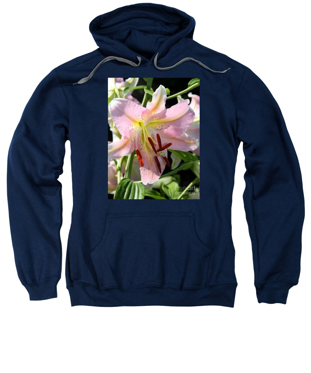 Lily Sweatshirt featuring the photograph Lady In Pink by Christiane Schulze Art And Photography