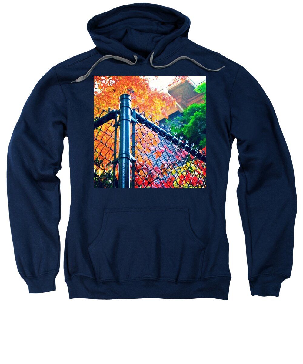Picfx Sweatshirt featuring the photograph Nature Contained #seasons #autumn by Anna Porter