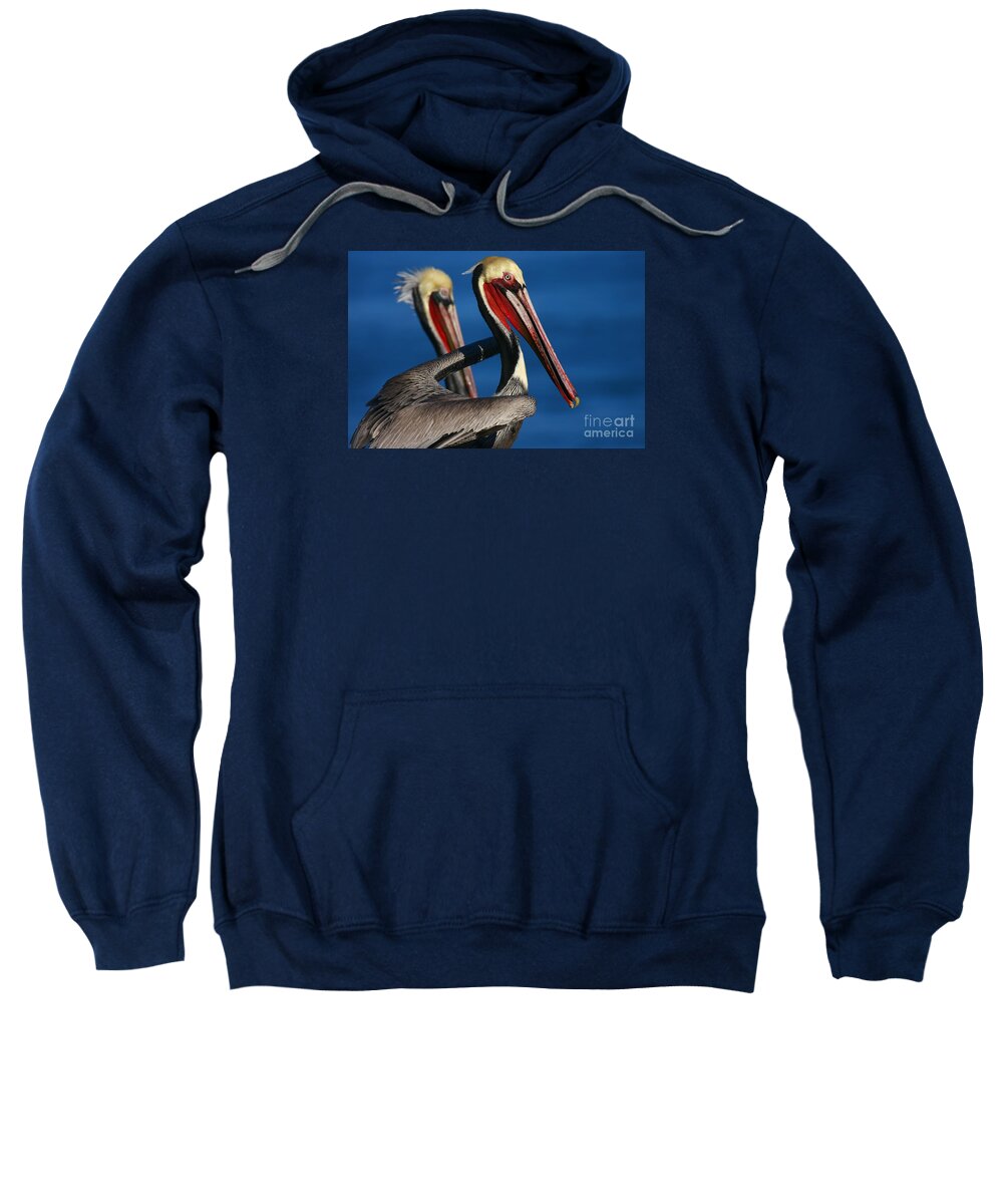 Landscapes Sweatshirt featuring the photograph La Jolla Pelicans In Waves by John F Tsumas