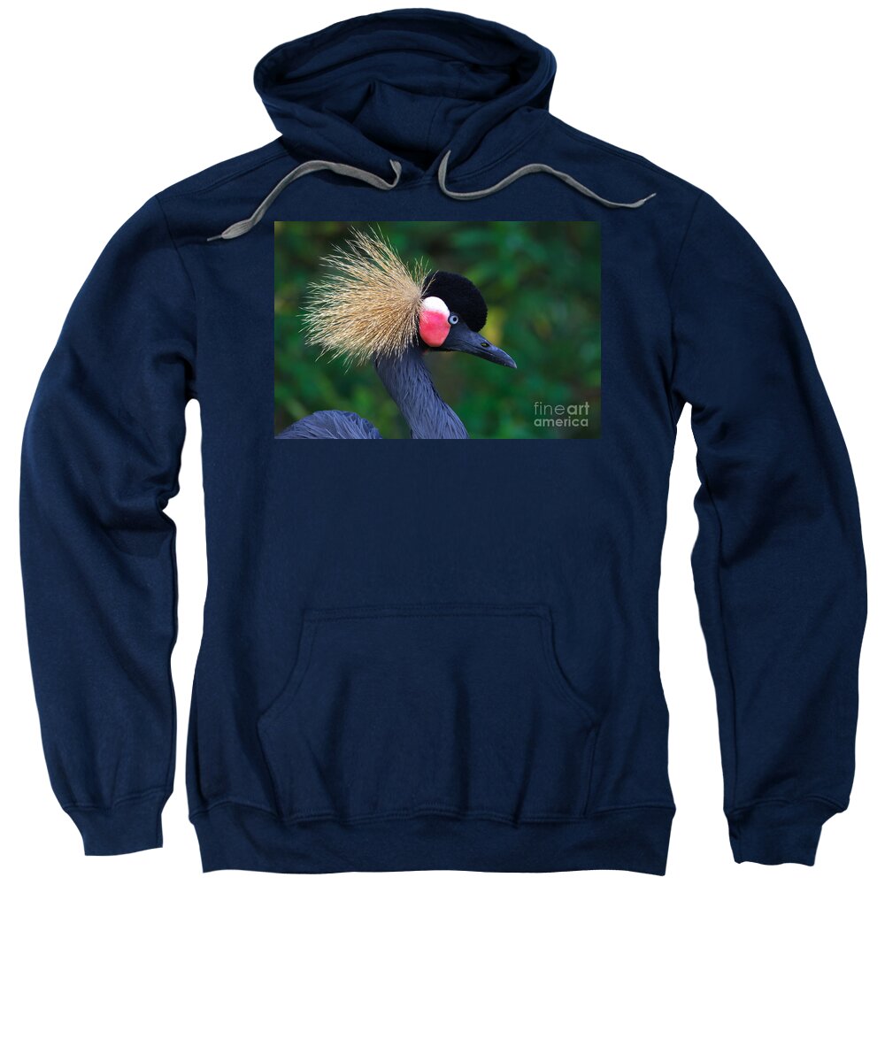 African Sweatshirt featuring the photograph Portrait of a Grey Crowned Crane by Nick Biemans