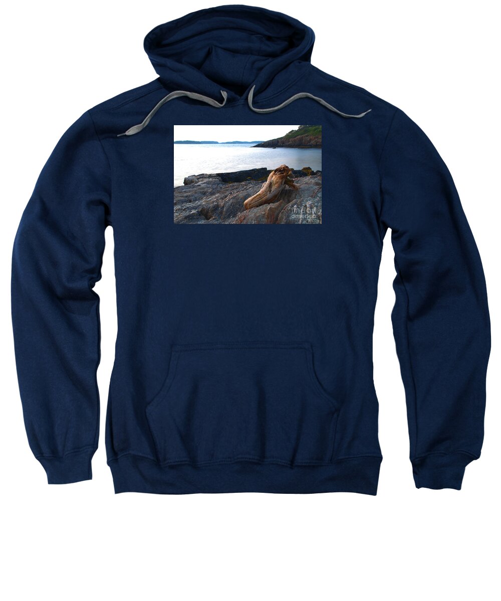 Driftwood Tide Rock Shore Hermit Island Maine Log Sweatshirt featuring the photograph Resting Traveller by Richard Gibb