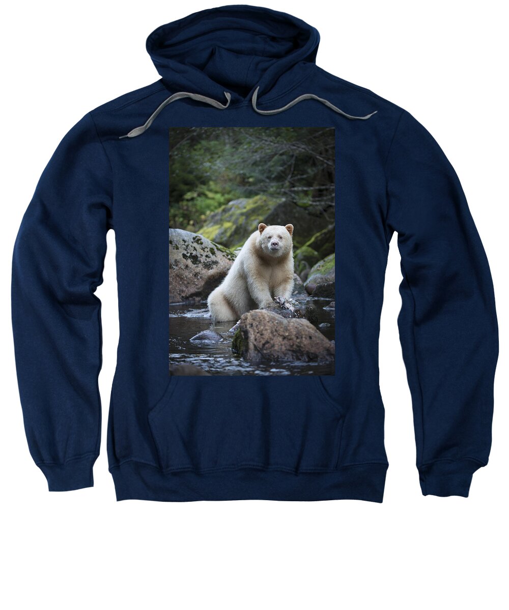 Bear Sweatshirt featuring the photograph Spirit Bear in Creek by Bill Cubitt