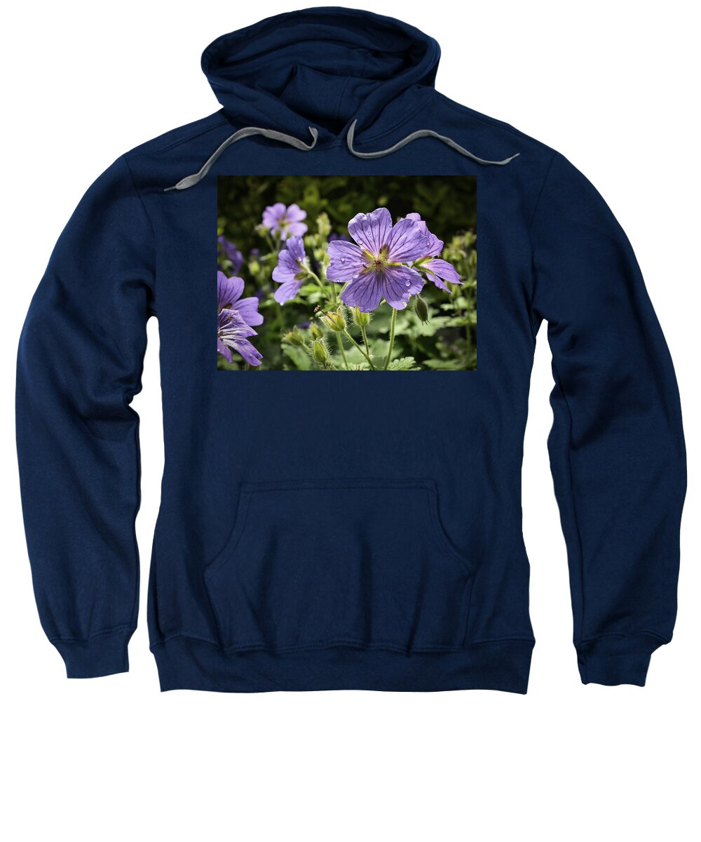 Nature Sweatshirt featuring the photograph Sun bathed Geranium by Spikey Mouse Photography