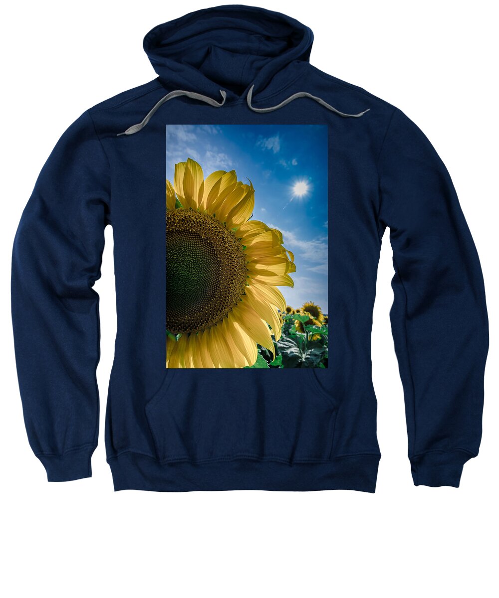 Sunflower Sweatshirt featuring the photograph Sunflower Flower Sun by Rick Bartrand