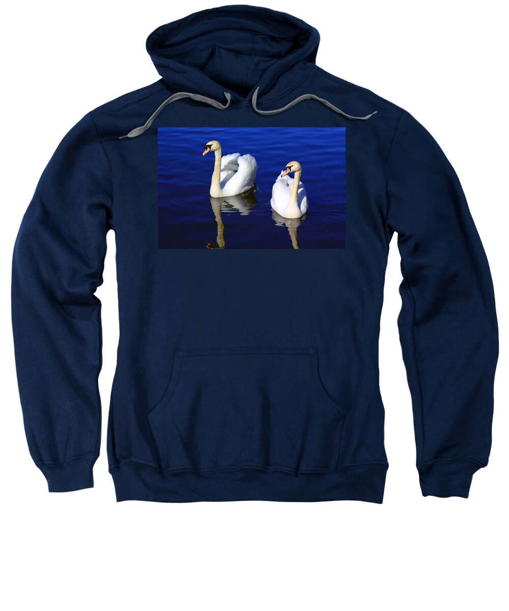 Mute Swan Sweatshirt featuring the photograph Swans on the Lake by Jennifer Robin