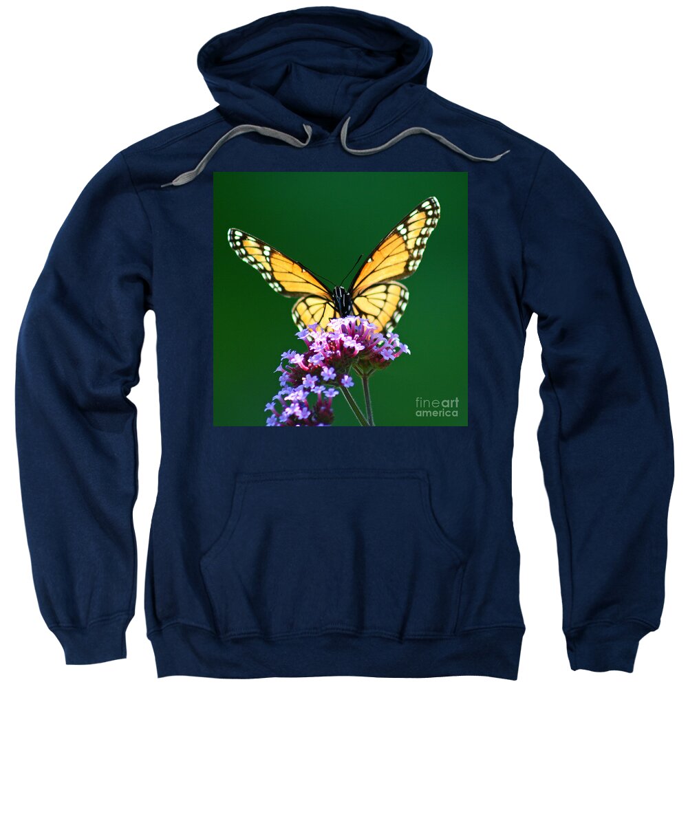 Butterfly Sweatshirt featuring the photograph Viceroy Butterfly Square by Karen Adams