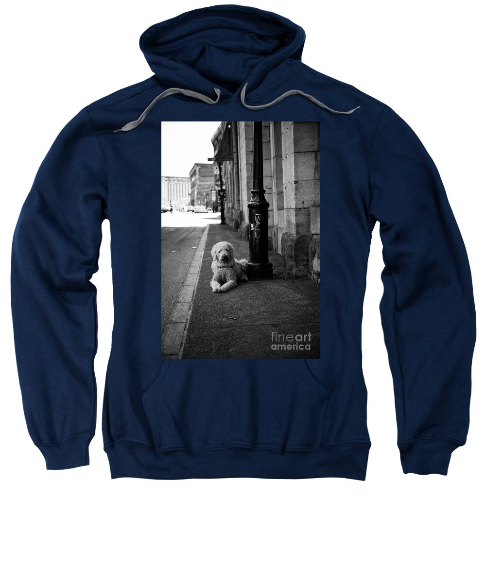Dog Sweatshirt featuring the photograph All Alone by Leslie Leda