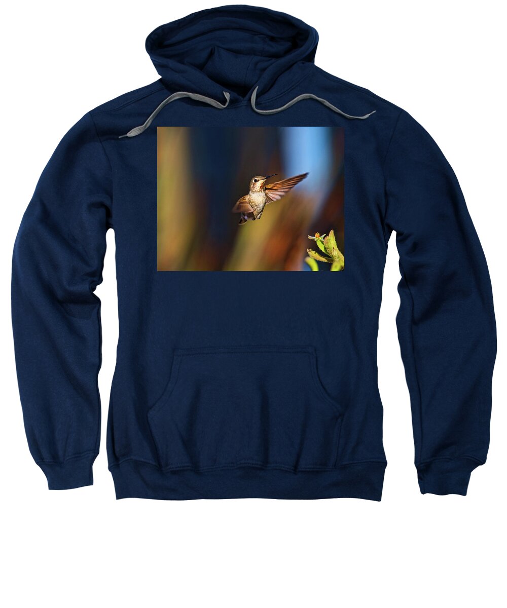 Annas Hummingbird Sweatshirt featuring the photograph Hummingbird by Beth Sargent