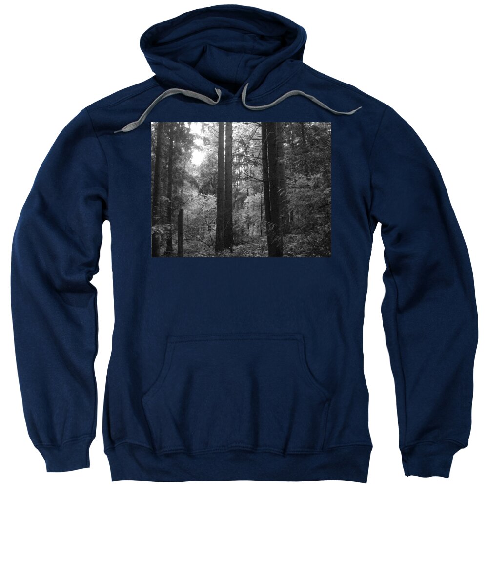 Northwest Sweatshirt featuring the photograph Into the Wood by Kathleen Grace