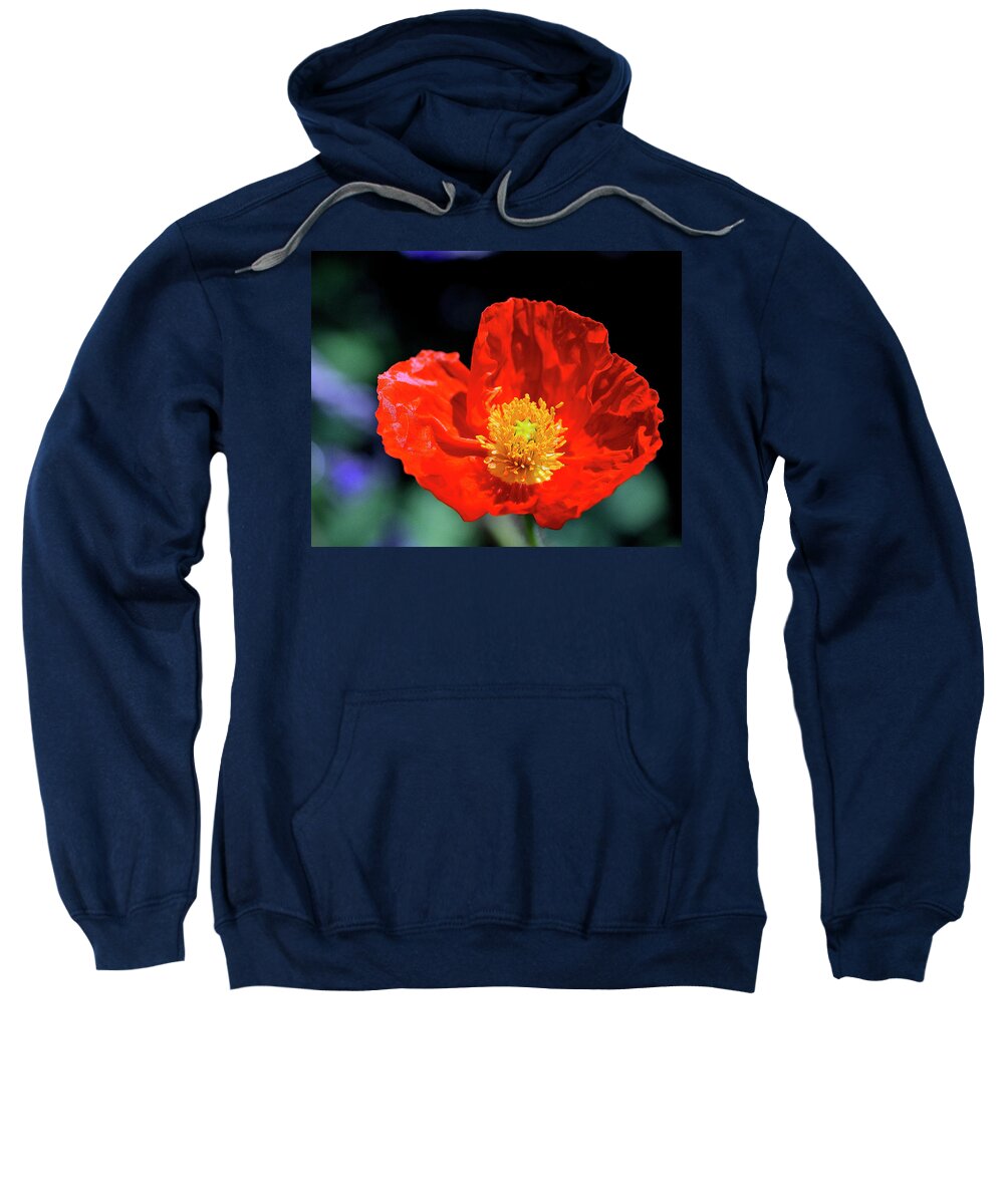 Flower Sweatshirt featuring the photograph Orange Poppy by Bill Dodsworth