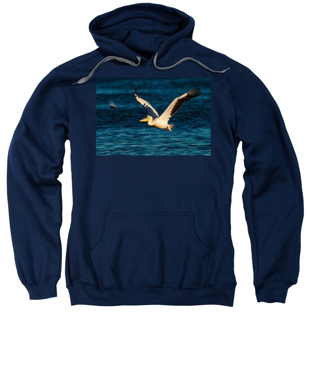 Action Sweatshirt featuring the photograph Pelican brief by Alistair Lyne