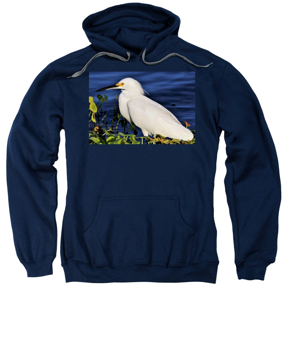 Snowy Sweatshirt featuring the photograph Profile of a Snowy Egret by Bill Dodsworth