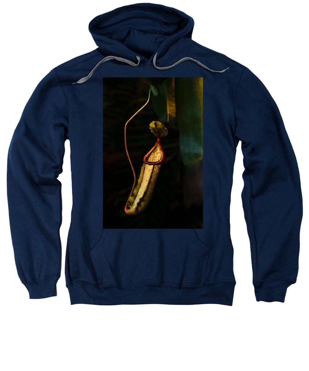 Yellow Sweatshirt featuring the photograph Sax by Michael Goyberg