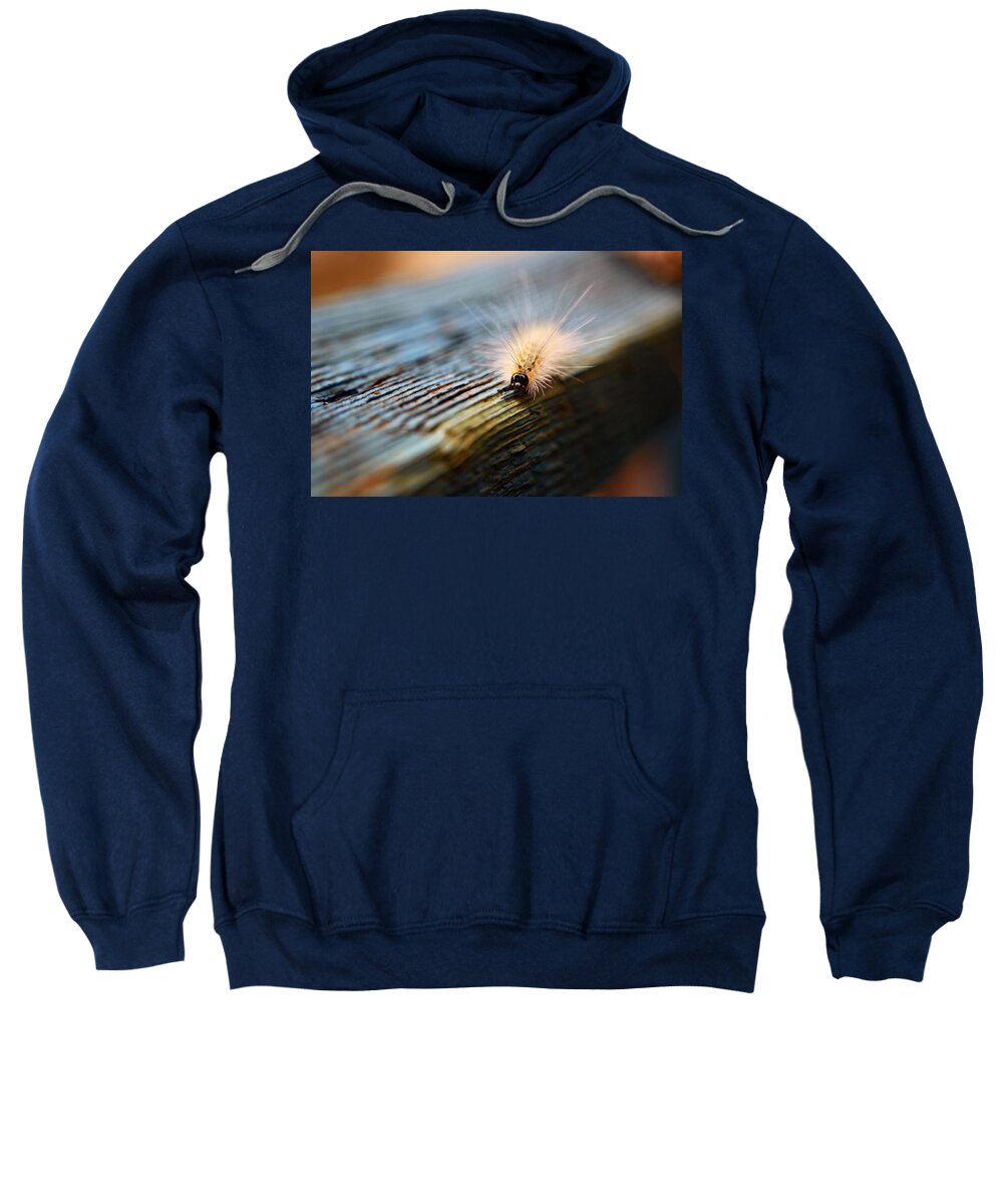 Caterpillar Sweatshirt featuring the photograph Something Wicked This Way Comes by Lori Tambakis