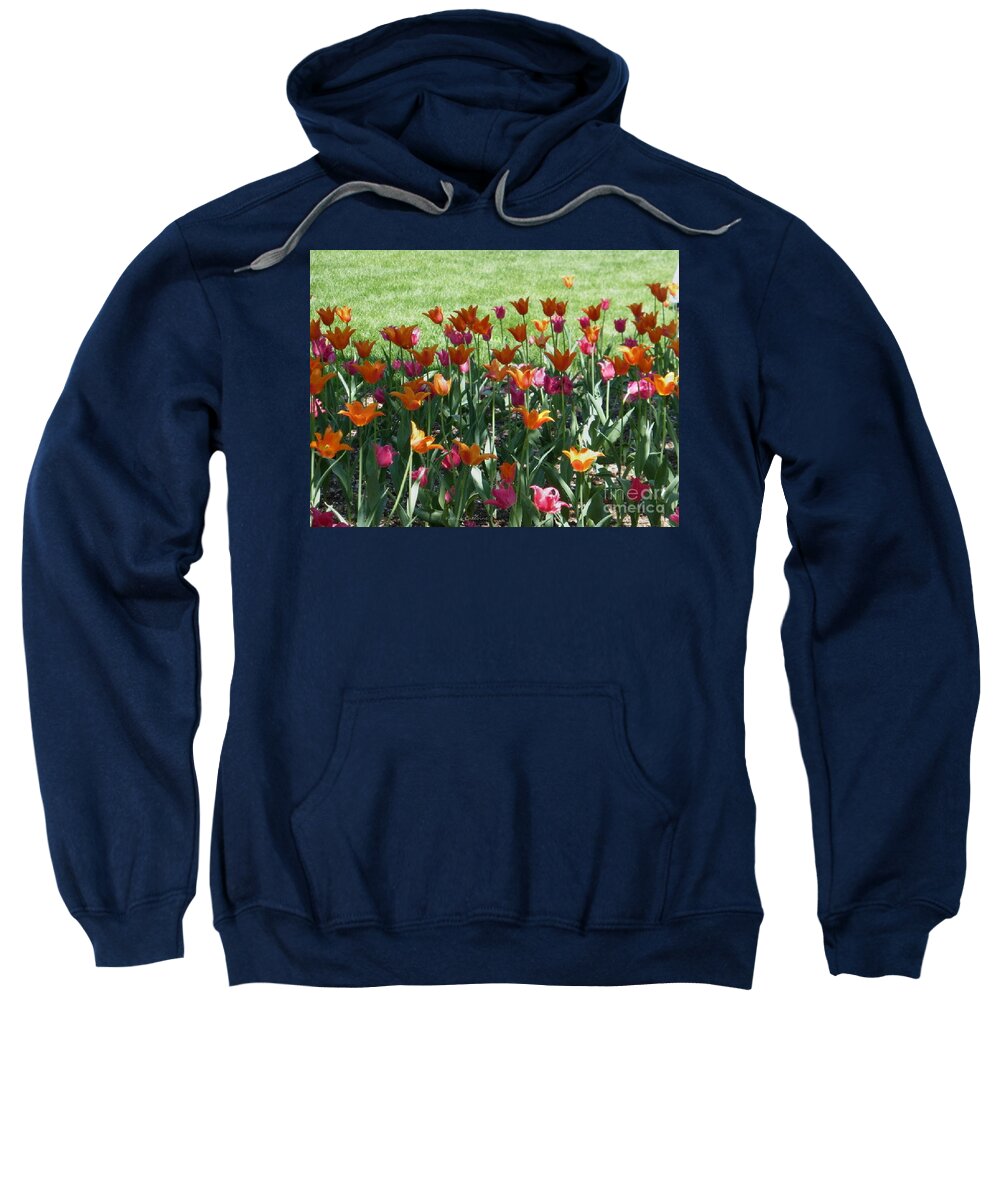 Photography Sweatshirt featuring the photograph A Colorful Mix by Kathie Chicoine