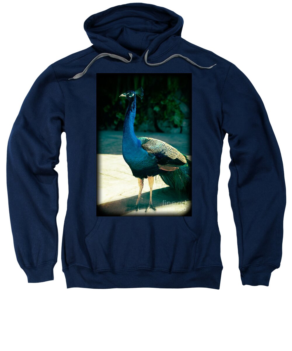 Peacock Sweatshirt featuring the photograph Awakening by Kathy Strauss