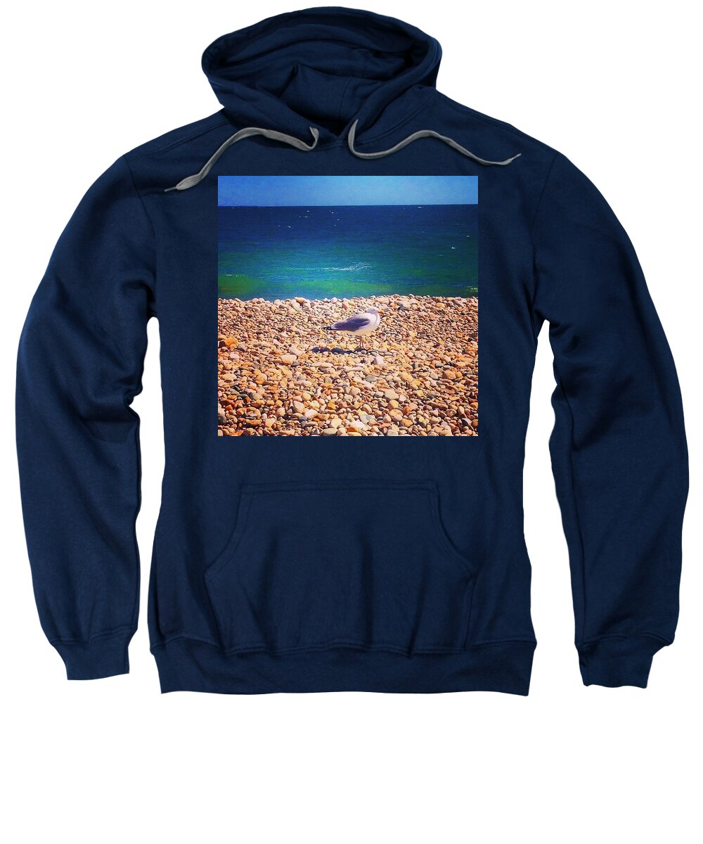 Bird Sweatshirt featuring the photograph New England Resident #1 by Kate Arsenault 