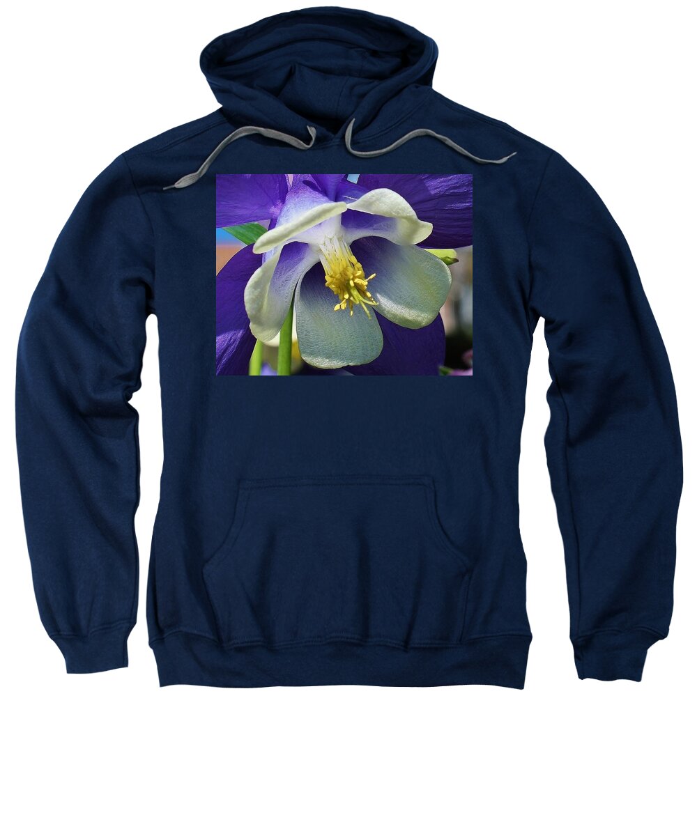 Flora Sweatshirt featuring the photograph Blue Columbine Up Close 1 by Bruce Bley
