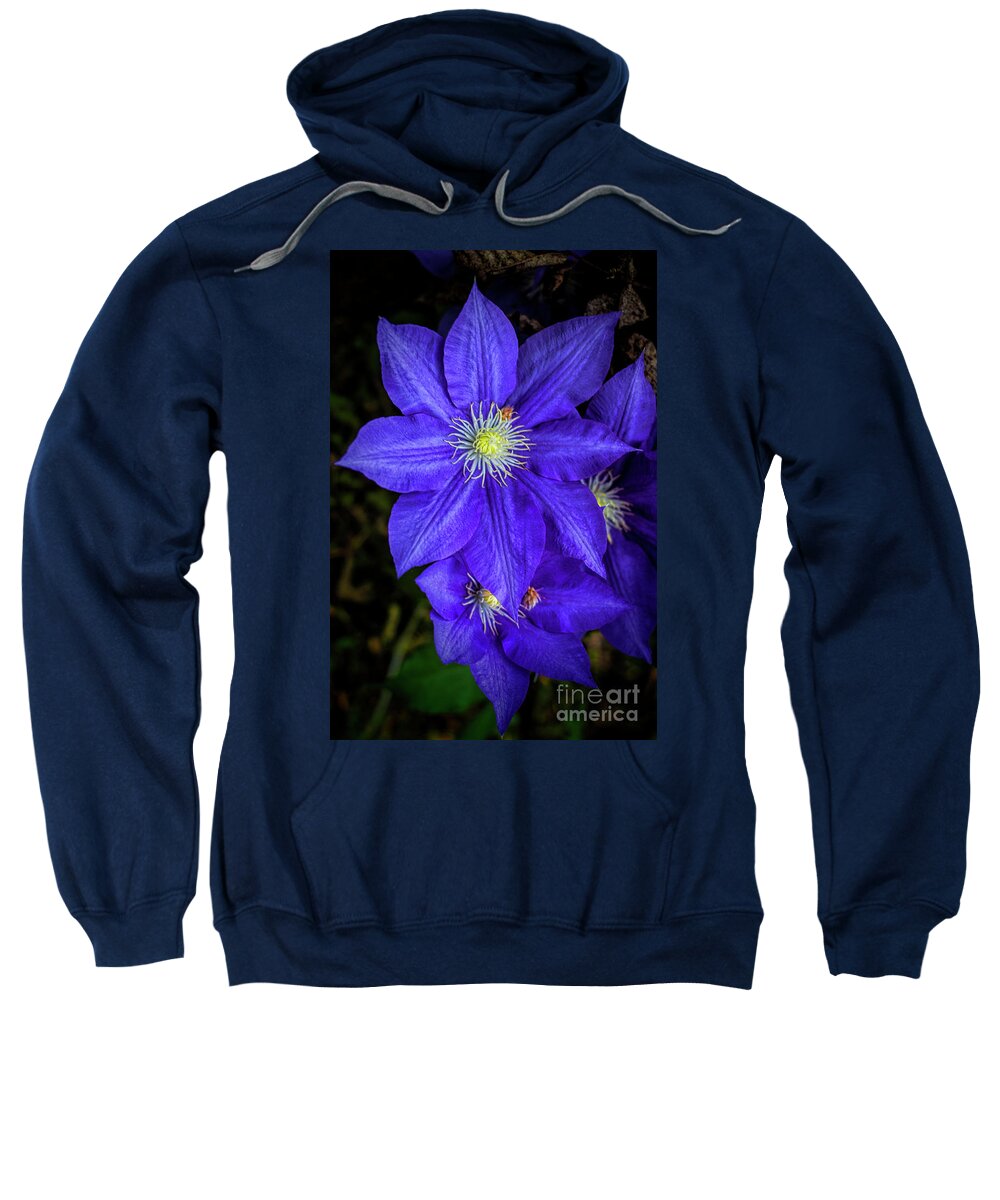 Flora Sweatshirt featuring the photograph Color Me Purple #2 by Dave Bosse