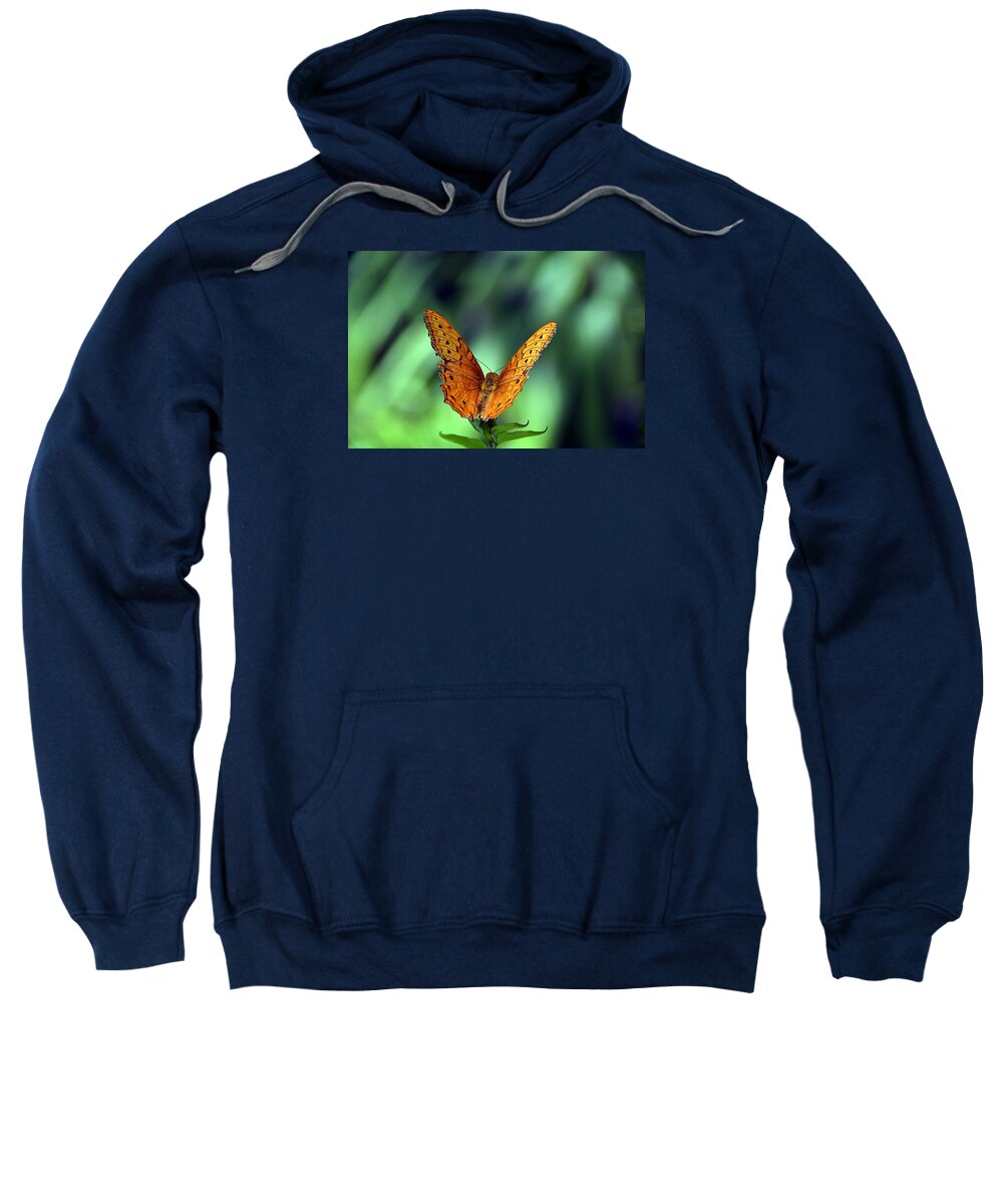 Cruiser Sweatshirt featuring the photograph Cruiser by Andrei SKY