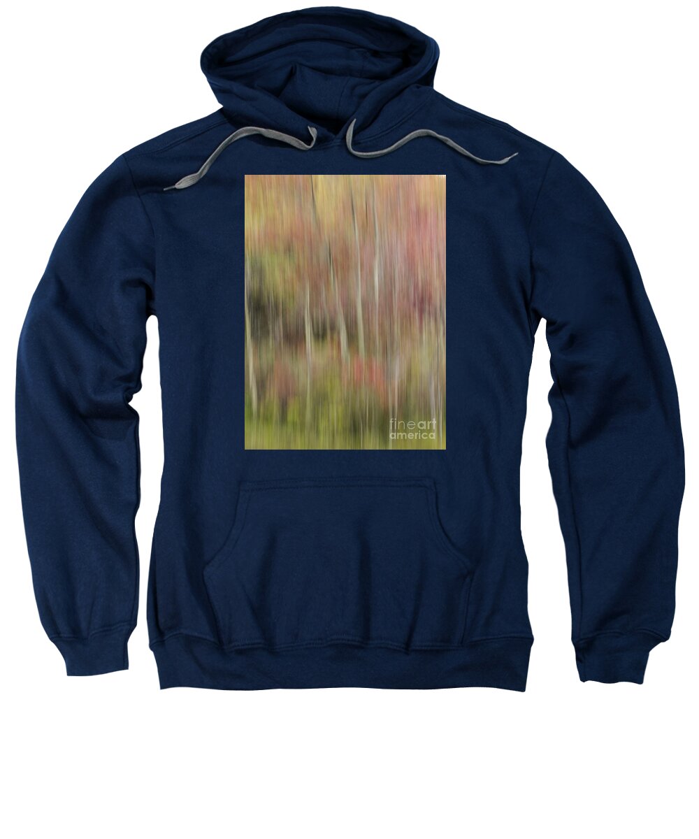 Vertical Pan Sweatshirt featuring the photograph Down by the River by Lili Feinstein