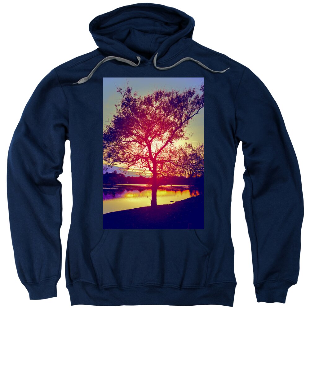 Tree Sweatshirt featuring the photograph Dusk by Kate Arsenault 