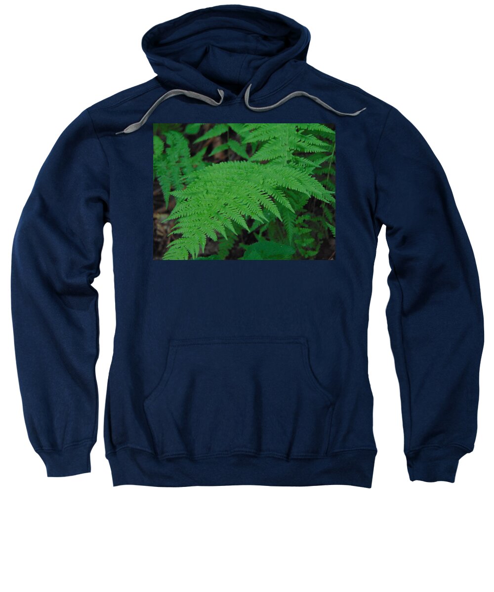 Landscape Sweatshirt featuring the photograph Forest Fern by Richie Parks