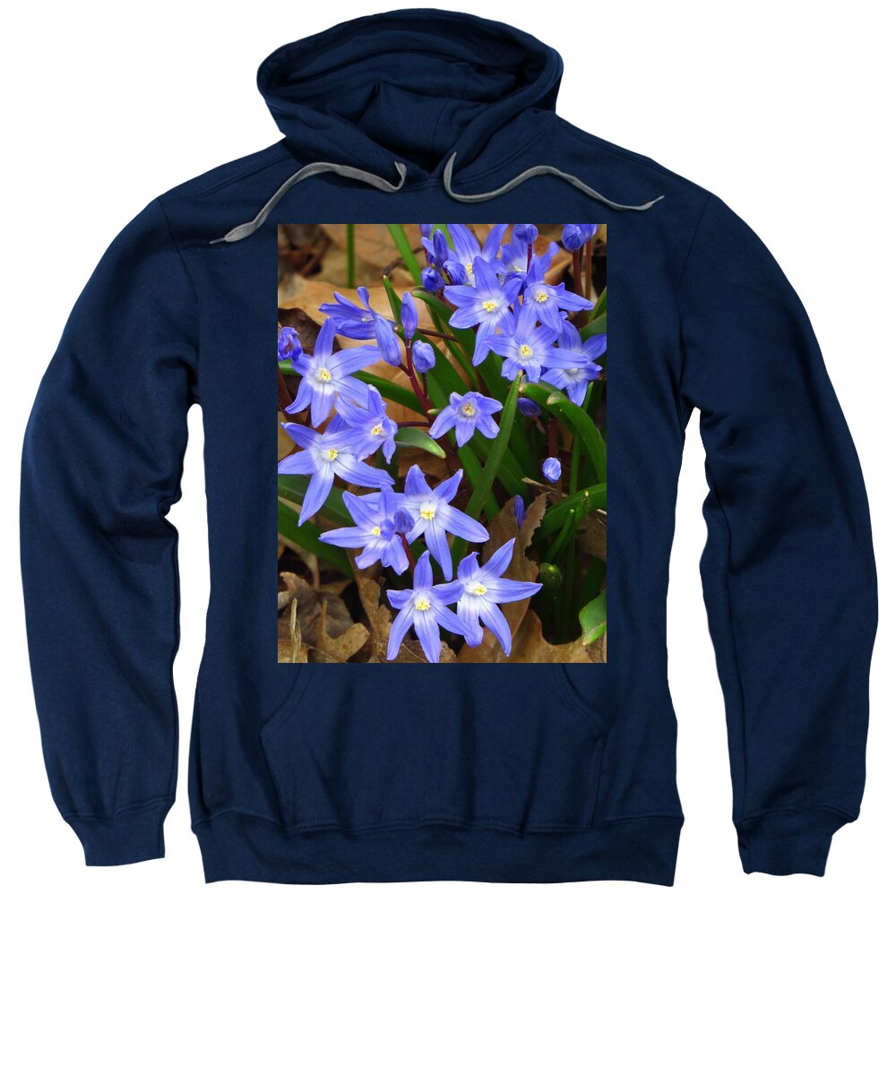 Flowers Sweatshirt featuring the photograph Glory of the Snow by Lori Frisch
