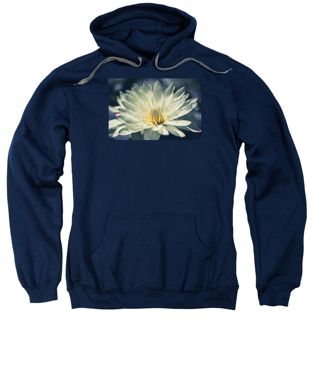 Flower Sweatshirt featuring the photograph Grace by Laura Roberts
