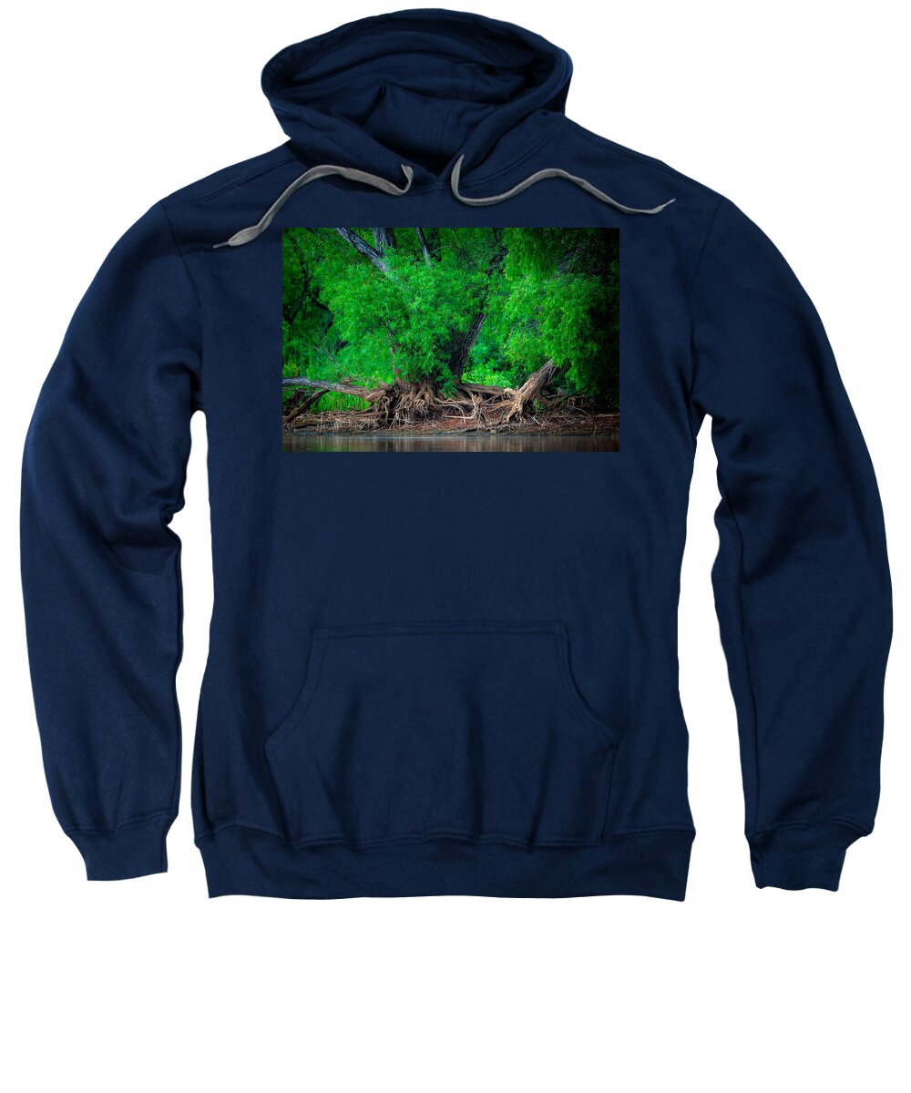 Tree Sweatshirt featuring the photograph Grandfather Willow by Jeff Phillippi