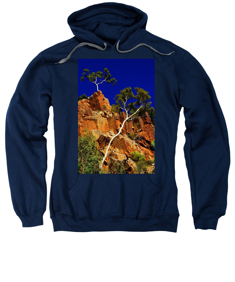 Gum Tree Sweatshirt featuring the photograph Gum Tree at Cliffs' Edge by Douglas Barnard