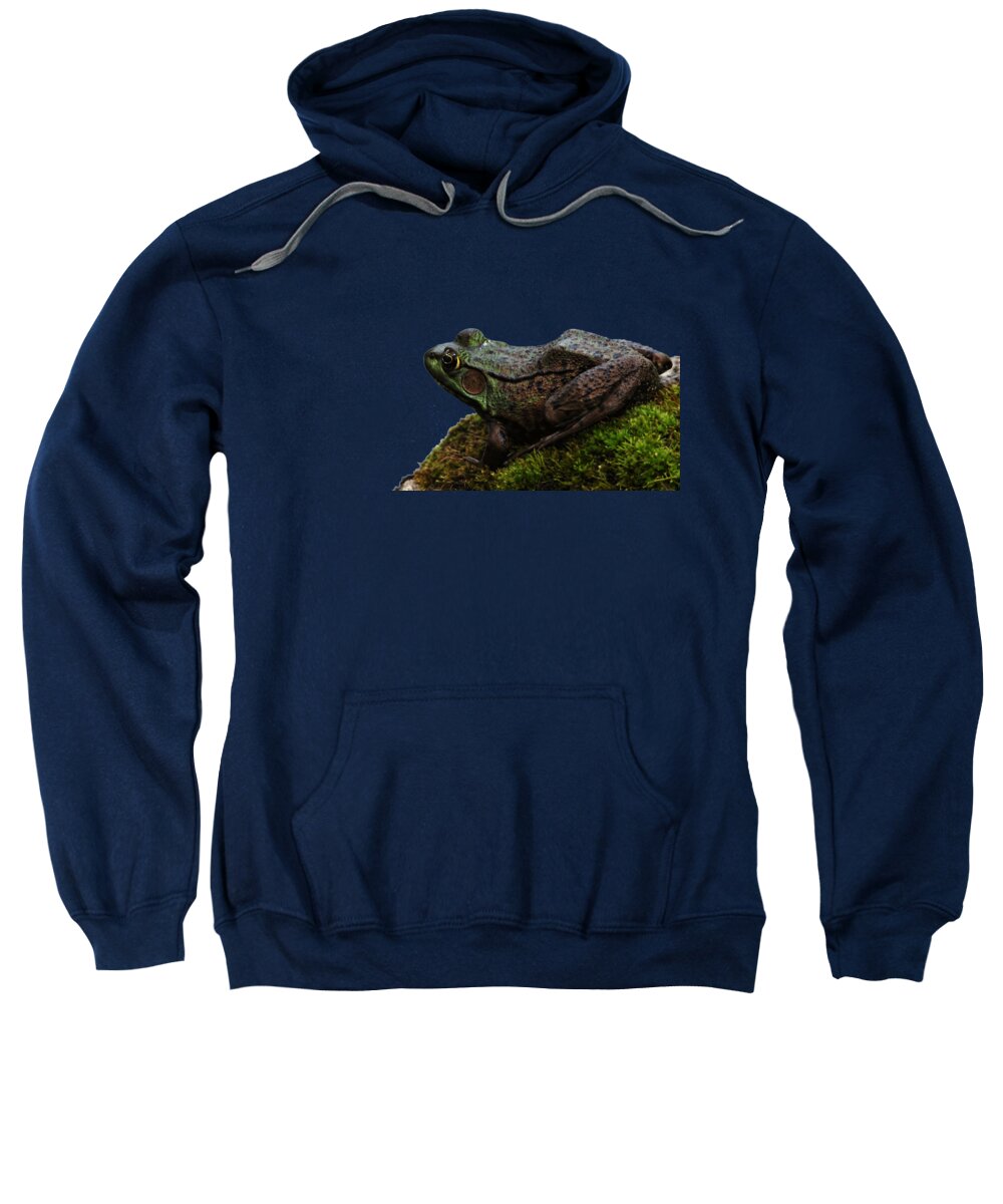 Amphibians Sweatshirt featuring the photograph King Of The Rock by Debbie Oppermann