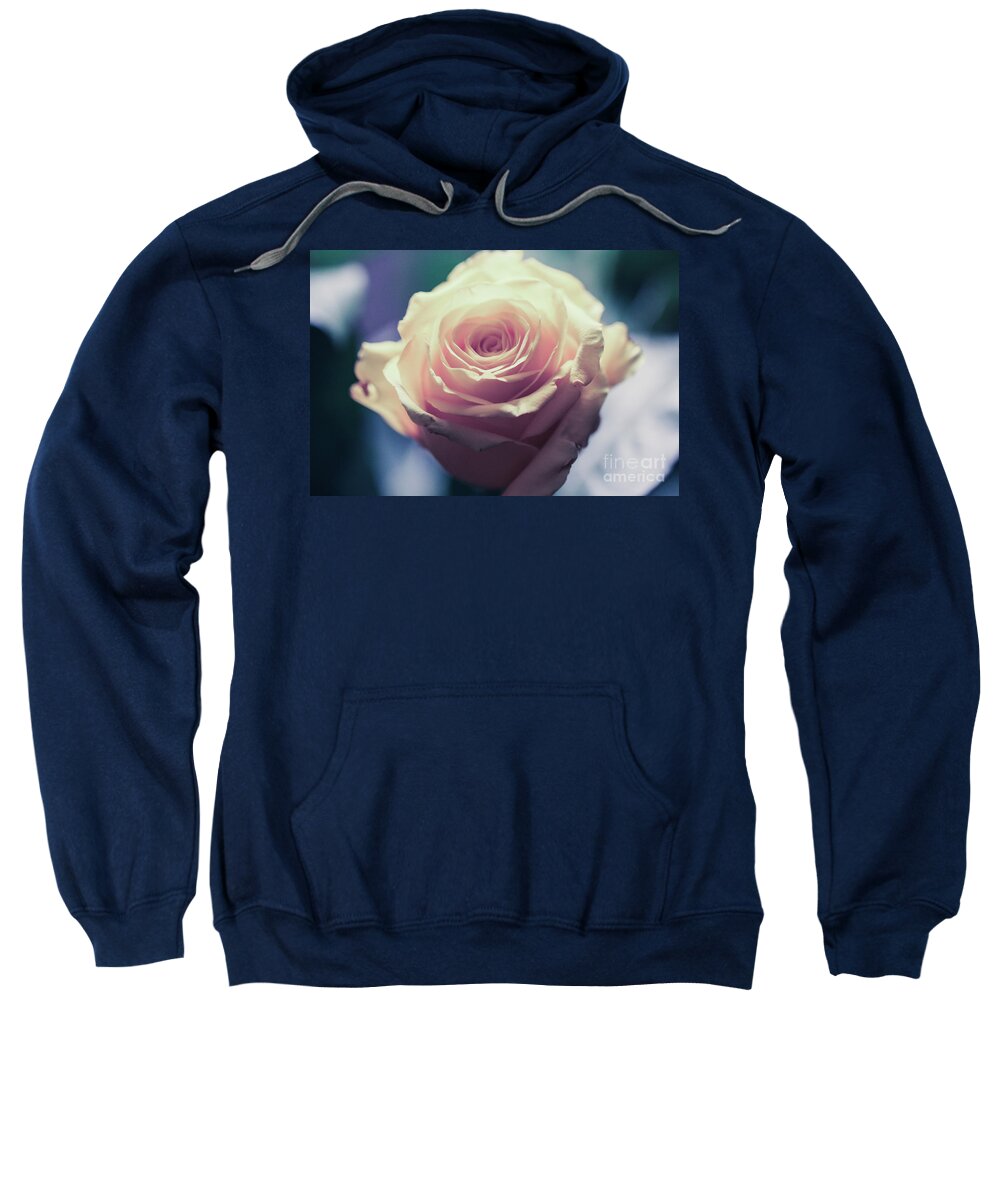 Art Sweatshirt featuring the photograph Light Pink Head Of A Rose On Blue Background by Amanda Mohler