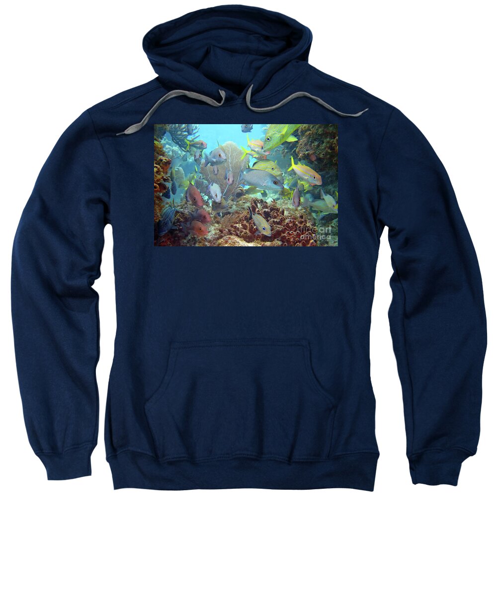 Underwater Sweatshirt featuring the photograph Molasses Reef by Daryl Duda