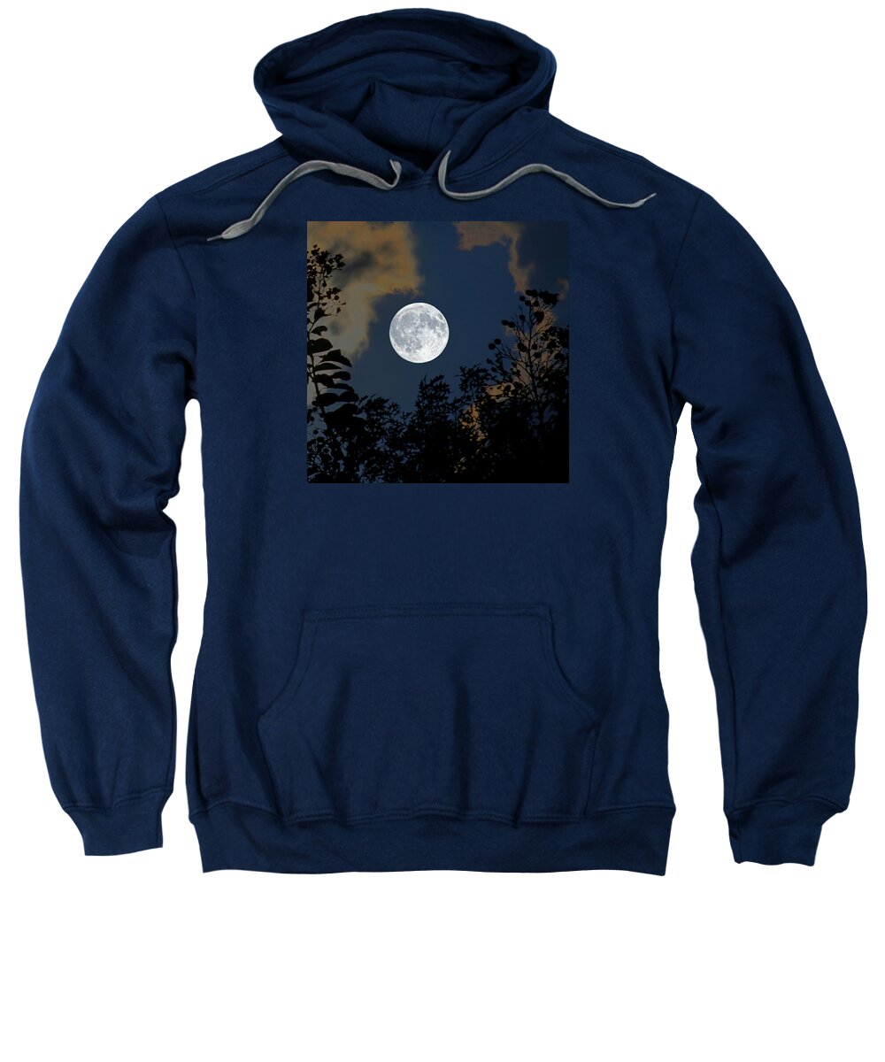 Branches Sweatshirt featuring the photograph Moon Glo by Trish Mistric