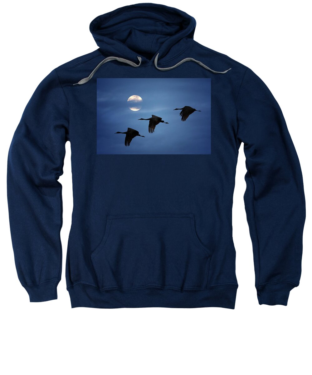 Sandhill Crane Sweatshirt featuring the photograph Moonlit Flight by Susan Rissi Tregoning