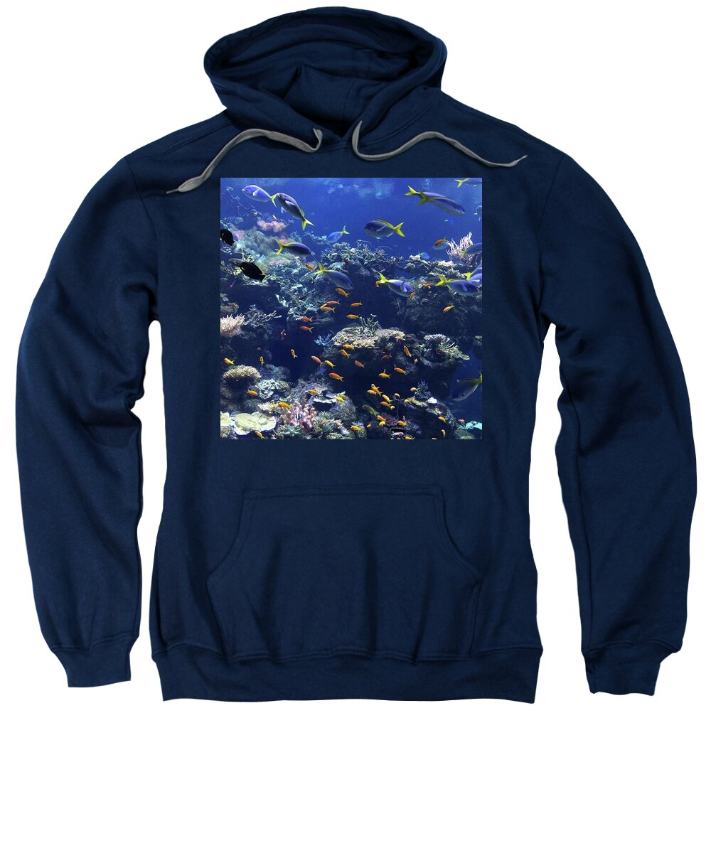 Fishes. Ocean. Sweatshirt featuring the photograph Fishes in California by Anna Luiza Ceroy