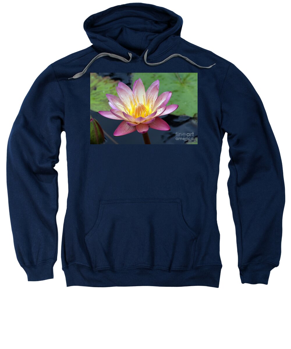 Wildflower Sweatshirt featuring the photograph Pink Water Lily by Teresa Zieba