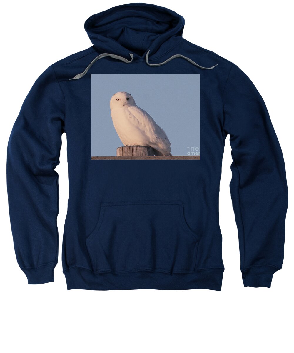 Snowy Owl Sweatshirt featuring the photograph Snowy Owl by Paula Guttilla