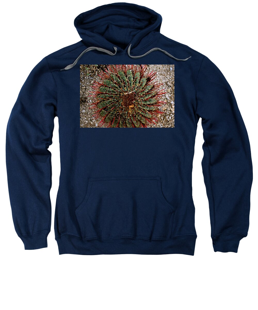 Cactus Sweatshirt featuring the photograph Spin by Melisa Elliott