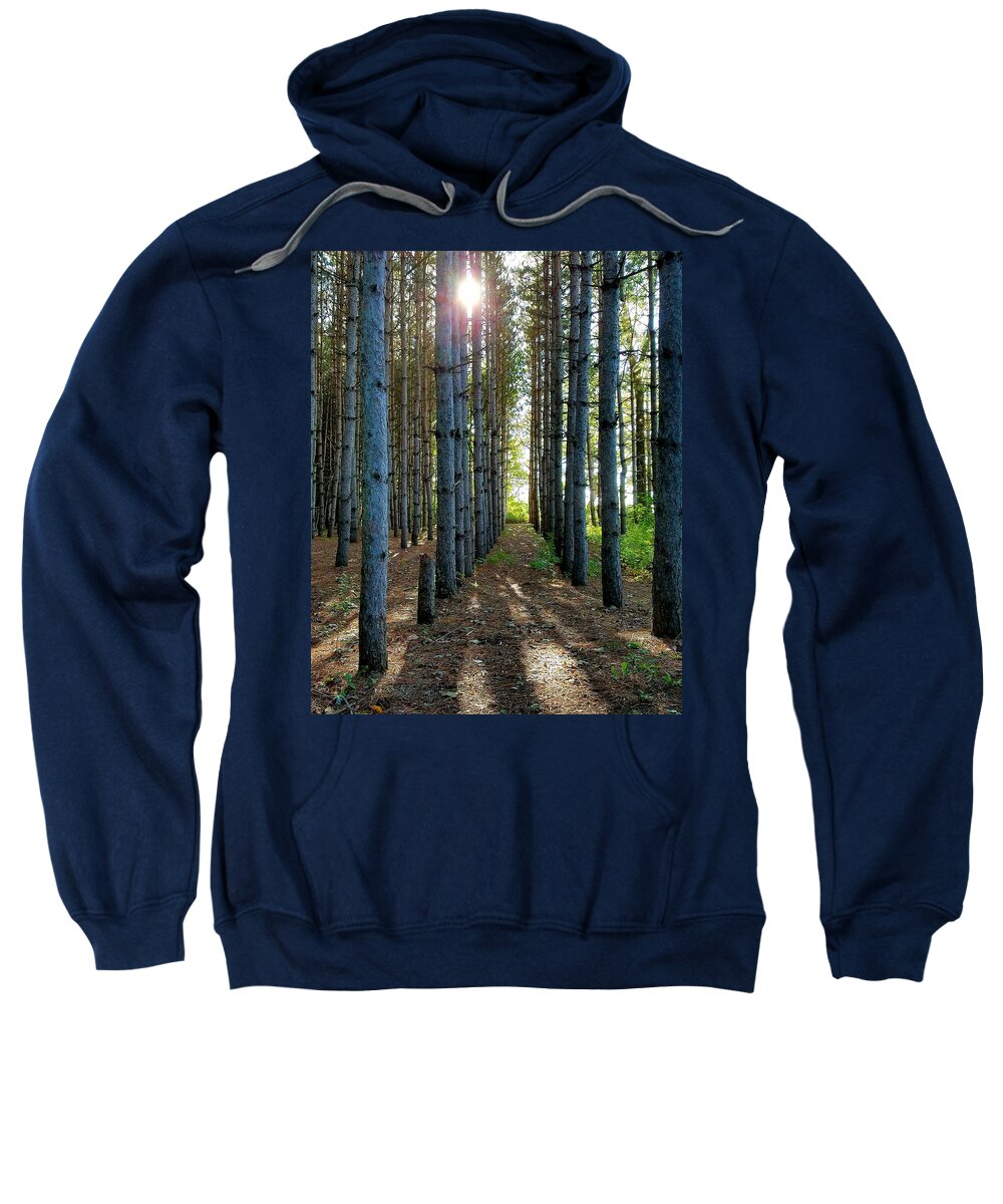 Sunlight Sweatshirt featuring the photograph Sunlight Through the Forest Trees by Vic Ritchey