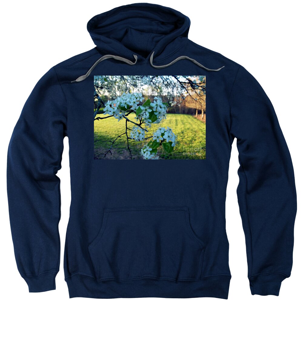Art Sweatshirt featuring the photograph The Promise of Spring 1c by Ricardos Creations