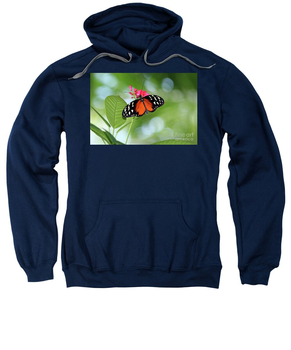 Tropical Sweatshirt featuring the photograph Tropical Hecale Butterfly by Karen Adams