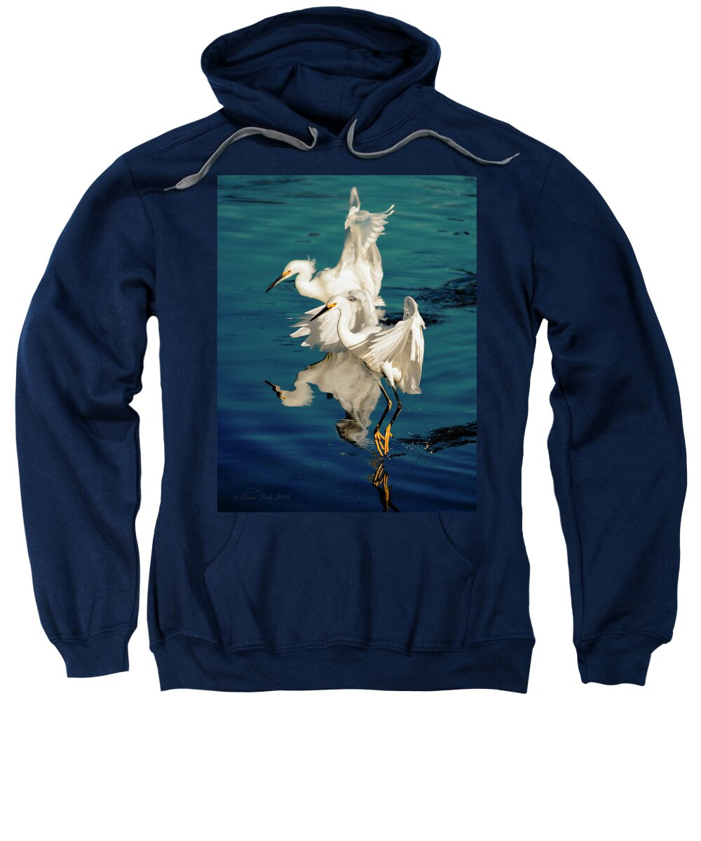 Wildlife Sweatshirt featuring the photograph Two in Tandem by Brian Tada