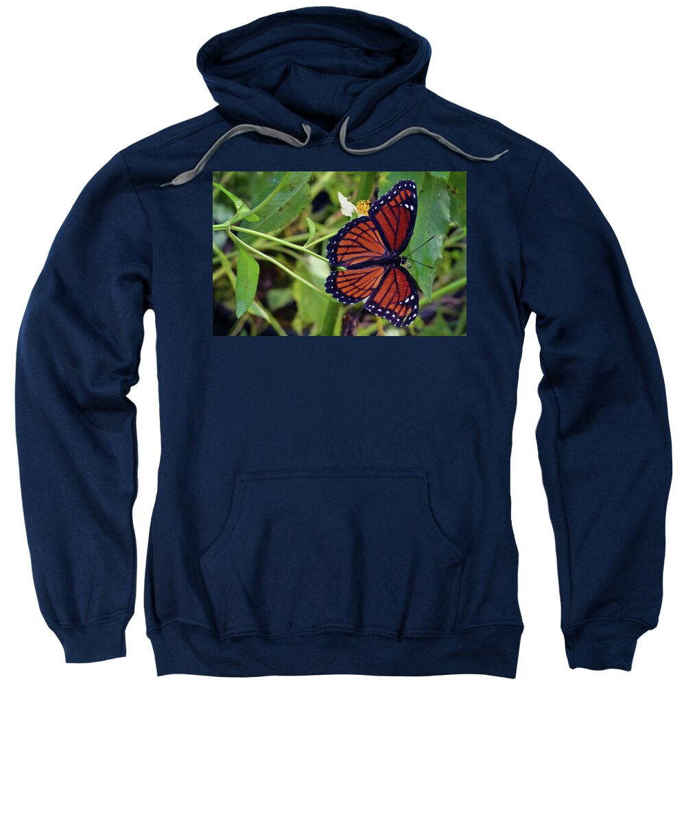 Photograph Sweatshirt featuring the photograph Viceroy Butterfly by Larah McElroy