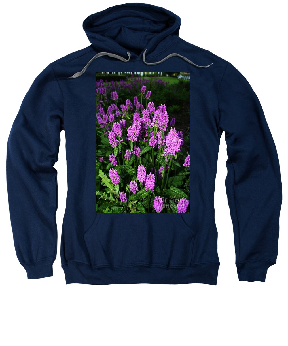  Sweatshirt featuring the photograph Violet by JamieLynn Warber