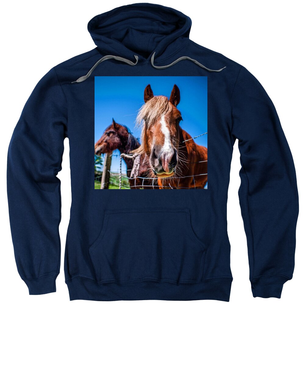 Horse Sweatshirt featuring the photograph Why The Long Face? by Aleck Cartwright