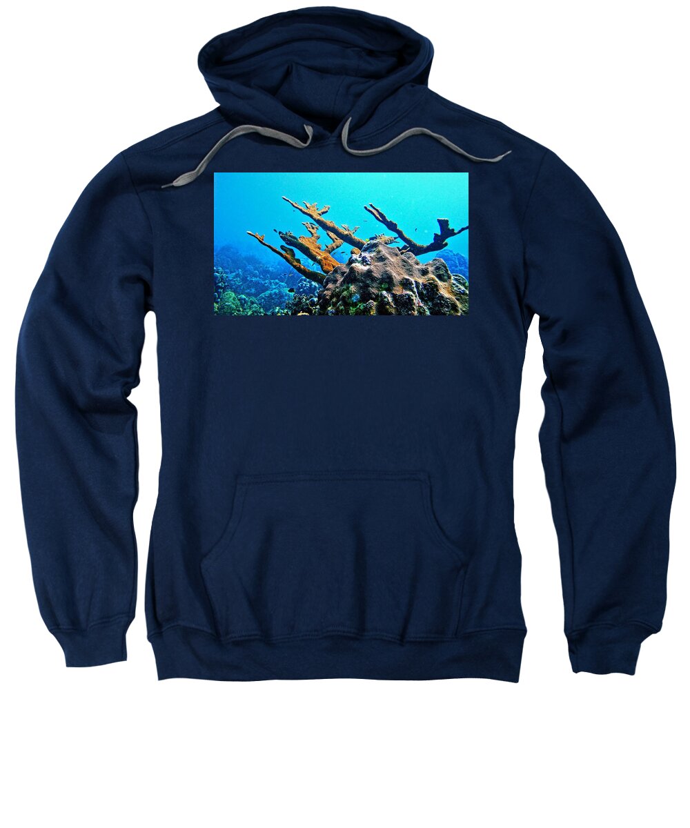 Elkhorn Coral Sweatshirt featuring the photograph Elkhorn by Climate Change VI - Sales